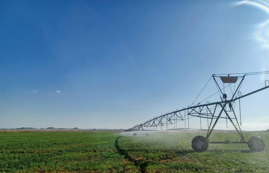 5 Bedroom Property for Sale in Fauresmith Free State